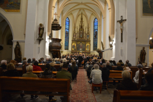 494508622 694923599754112 3301994583689848184 n